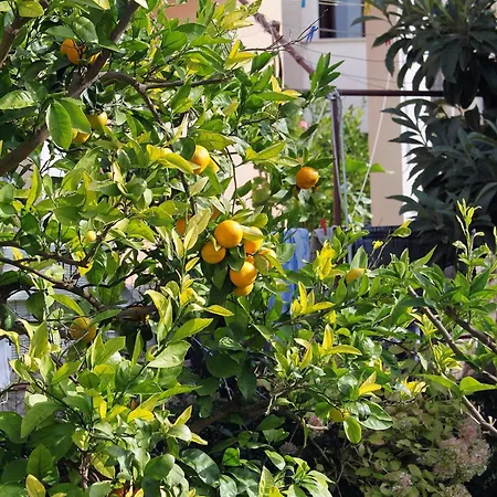 With Parking Space - Diklo, - 5880 * Zadar